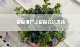 百度推广之百度竞价思路