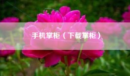 手机掌柜（下载掌柜）