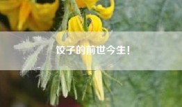 饺子的前世今生！