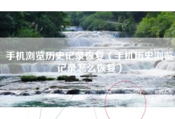 手机浏览历史记录恢复（手机历史浏览记录怎么恢复）