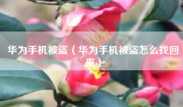 华为手机被盗（华为手机被盗怎么找回来）