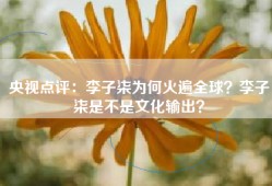 央视点评：李子柒为何火遍全球？李子柒是不是文化输出？