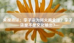 央视点评：李子柒为何火遍全球？李子柒是不是文化输出？