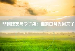 非遗技艺与李子柒：谁的白月光回来了