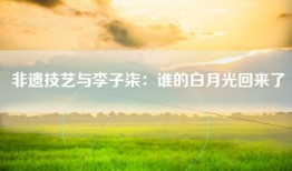 非遗技艺与李子柒：谁的白月光回来了