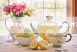 手机键盘鼠标（手机键盘鼠标外设软件）