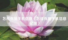 怎样恢复手机信息（怎样恢复手机信息记录）