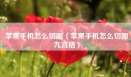苹果手机怎么切图（苹果手机怎么切图九宫格）