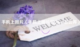 手机上图片（手机上图片转为pdf怎么弄）
