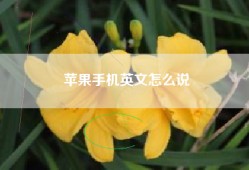 苹果手机英文怎么说