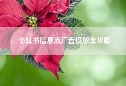 小红书信息流广告投放全攻略