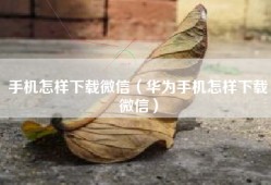 手机怎样下载微信（华为手机怎样下载微信）