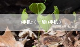 1手机2（一加11手机）