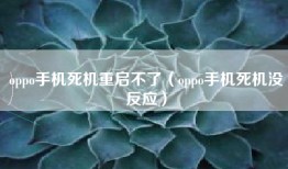 oppo手机死机重启不了（oppo手机死机没反应）