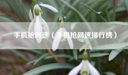 手机抢网速（手机抢网速排行榜）