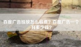 百度广告投放怎么收费？百度广告一个月多少钱？