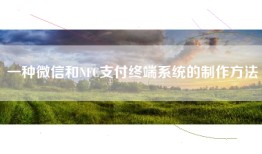 一种微信和NFC支付终端系统的制作方法