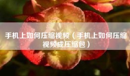手机上如何压缩视频（手机上如何压缩视频成压缩包）