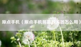 原点手机（原点手机屏幕放大器怎么用）