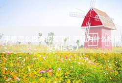 手机怎么没有信号了（手机为什么经常没有信号）