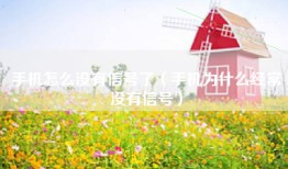 手机怎么没有信号了（手机为什么经常没有信号）