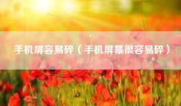 手机屏容易碎（手机屏幕很容易碎）