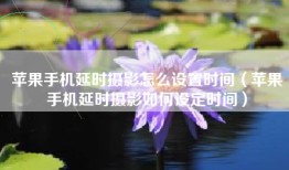 苹果手机延时摄影怎么设置时间（苹果手机延时摄影如何设定时间）