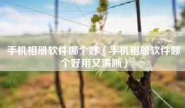 手机相册软件哪个好（手机相册软件哪个好用又清晰）