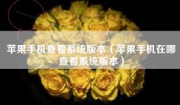 苹果手机查看系统版本（苹果手机在哪查看系统版本）
