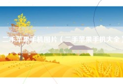 二手苹果手机图片（二手苹果手机大全）