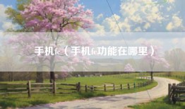 手机fc（手机fc功能在哪里）