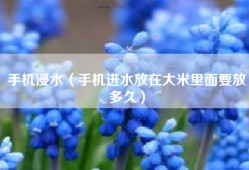 手机浸水（手机进水放在大米里面要放多久）