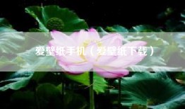 爱壁纸手机（爱壁纸下载）