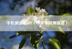 手机测温度aPP（小米手机测温度）