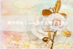 牌子手机（h0nor是什么牌子手机）