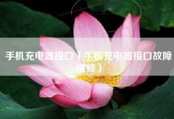 手机充电器接口（手机充电器接口故障维修）