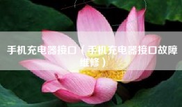手机充电器接口（手机充电器接口故障维修）