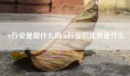 it行业是做什么的 it行业的优势是什么