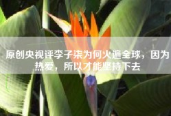 原创央视评李子柒为何火遍全球，因为热爱，所以才能坚持下去