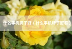 什么手机牌子好（什么手机牌子好看）