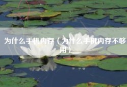 为什么手机内存（为什么手机内存不够用）