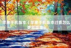 苹果手机版本（苹果手机版本过低怎么更新版本）