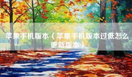 苹果手机版本（苹果手机版本过低怎么更新版本）