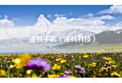 凌科手机（凌科科技）