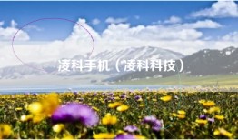 凌科手机（凌科科技）