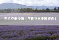 手机充电步骤（手机充电步骤顺序）