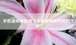 手机视频解码器（手机视频解码器的作用）
