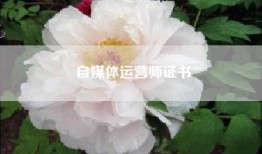 自媒体运营师证书