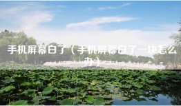 手机屏幕白了（手机屏幕白了一块怎么办）