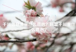 千川信息流是什么意思？巨量千川是什么意思？